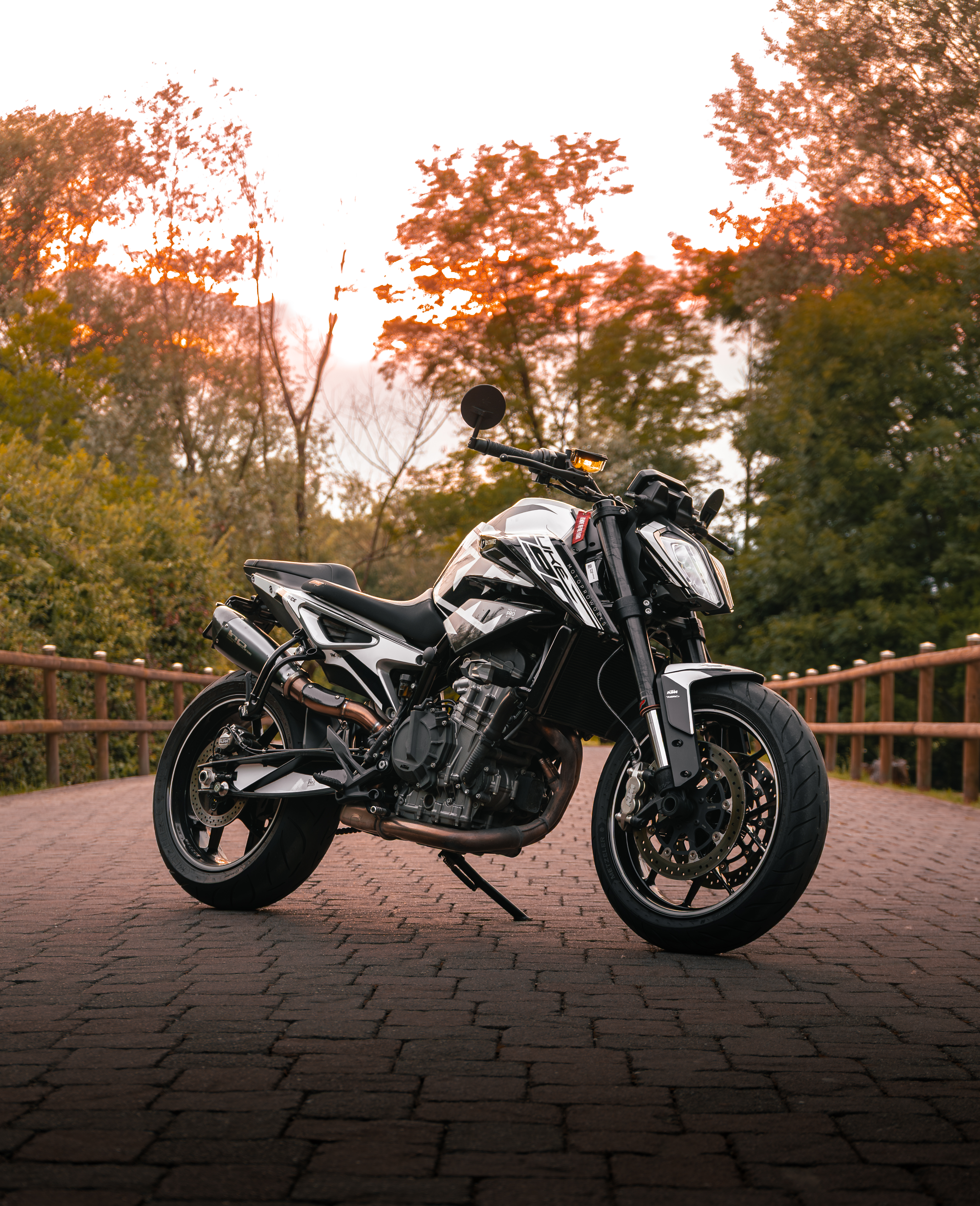 Superbike im Seitenlicht, Fokus auf Verkleidung & Bremsscheibe