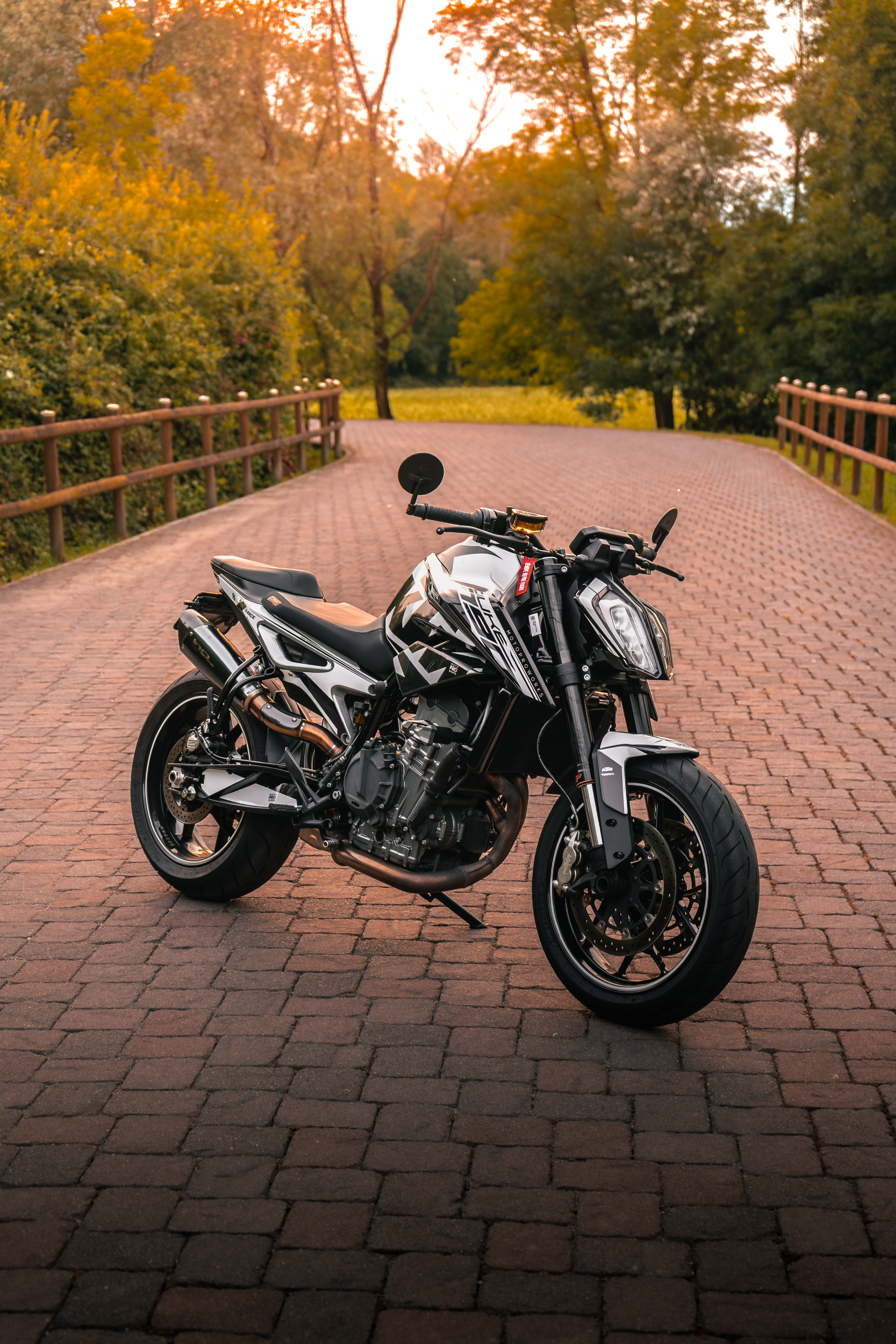 Cafe Racer Detail: Tank und Lenker im Gegenlicht